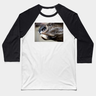 Caribou Muzzle Baseball T-Shirt